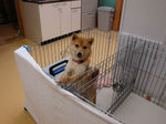 DSC03553s.jpg