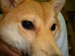 DSC03704s.jpg