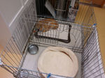 ハル101008-3s.jpg