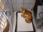 ハル101008-4s.jpg